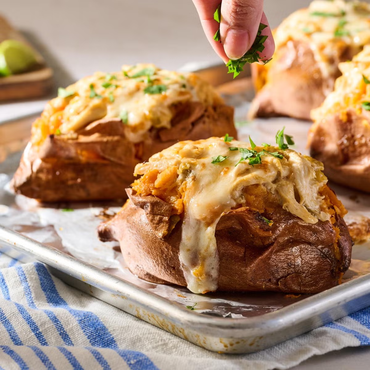 Delicious Dinner Recipes for Every Night